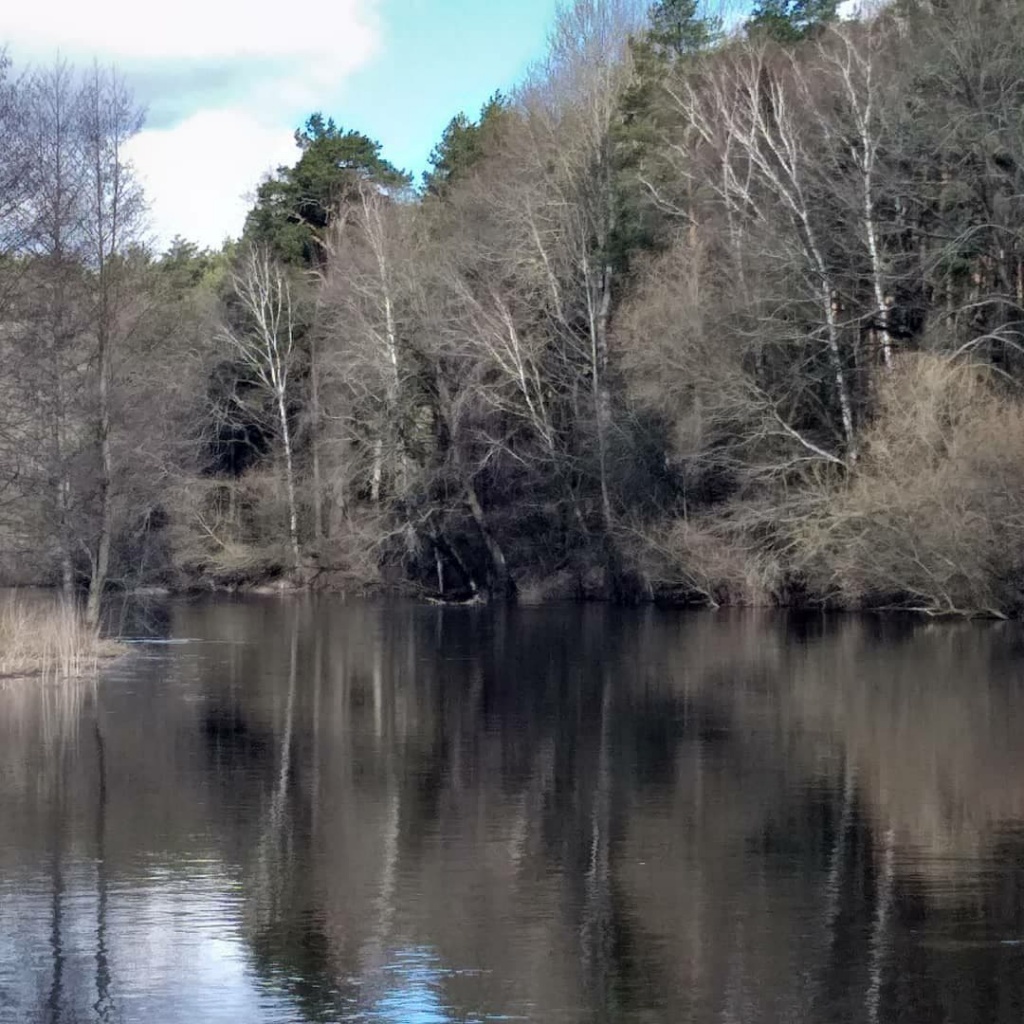 Ловля судака ранней весной в реке (2).jpg